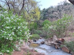 -北京西山国家森林公园