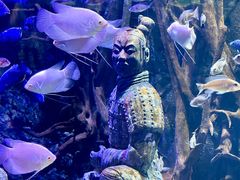 -华夏文旅海洋公园