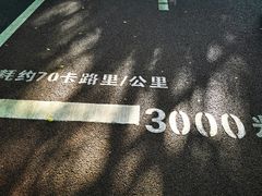 -南宁南湖公园