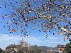 -青岩古镇