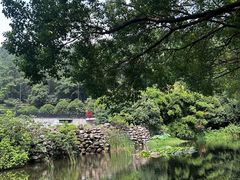 -九龙潭景区