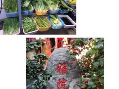 -老宅子私房菜馆(大理古城店)