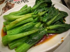白灼菜心-揭阳钟记小食(福田新村店)