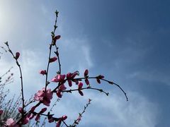 -迎泽公园