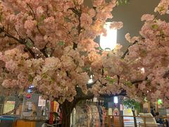 -汤泉良子(金源店)