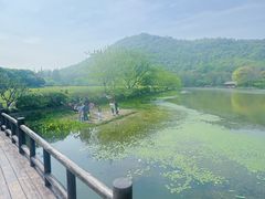 -八卦田遗址公园