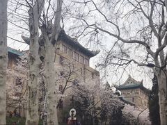 -武汉大学-樱园