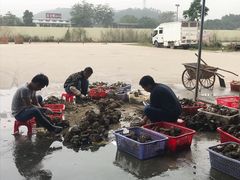-蚝专家(北滘店)