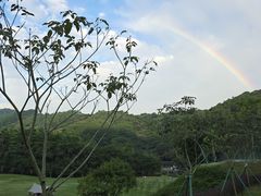 -黄埔油麻山森林公园