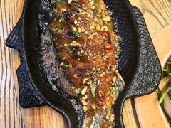 -鸽子窝专业烧烤店(南市场店)