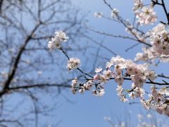 -南京国际青年文化中心