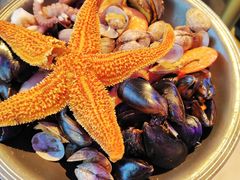 -蚝堡·生蚝海鲜烧烤物种起源•海肠捞饭(刘公岛店)
