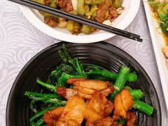 芥兰炒肥叉-粤·向群饭店(龙津东路总店)