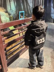 -酷嗒动物文化乐园(cutezoo西溪乐天城店)