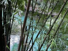 -三峡人家风景区