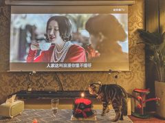 -ZOZO's昌左左精致甜品设计(新北店)