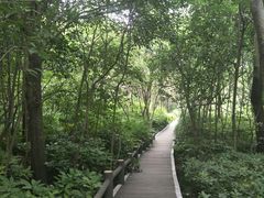-新江湾城公园