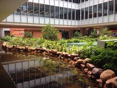 iphone_upload_pic-香港大学