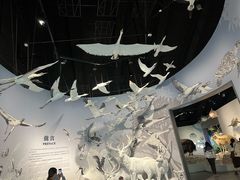 -中国湿地博物馆