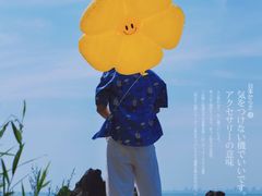 -巢湖姥山岛