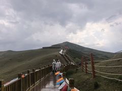 -凉州白塔寺景区
