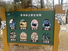 -青藏高原野生动物园