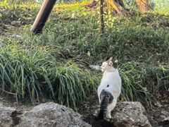 -颐和园