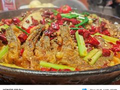 -老板恋上鱼(恒隆广场店)