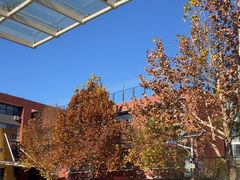 -北京市史家小学(通州分校)