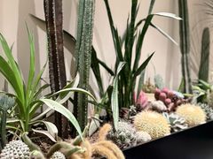 -J Create城市露营咖啡·简餐·宠物(上海动物园店)