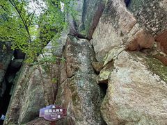 -汤旺河林海奇石景区