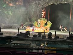 -广州长隆国际大马戏