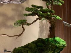 -揽季锅物会.福建黄鱼.海鲜姿造(五四路店)