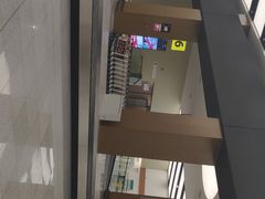 -谢列梅捷沃国际机场