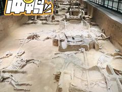 -洛阳周王城天子驾六博物馆