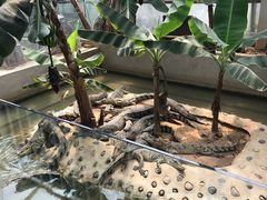 -石家庄市动物园