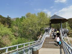 -大青山野生动物园