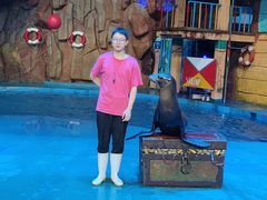 -烟台海昌鲸鲨海洋公园