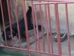 -罗庄动物园