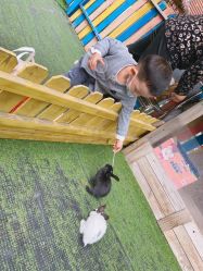 -萌宠亲子动物乐园(槐房万达店)