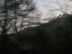 -溪口商量岗景区