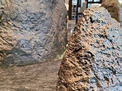 -海湾壹品·粤菜·早茶·烤鸭(拱北店)