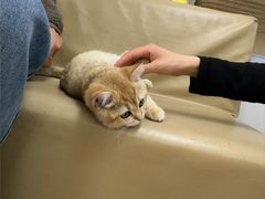 -宠颐生中康贝怡动物医院