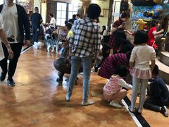 -more than meow吴止猫主题餐厅(承德 中船汇店)