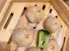 -宝园酒家(美林M·LIVE天地东座店)