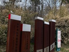 -南京老山国家森林公园