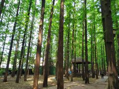 -南京金牛湖风景区