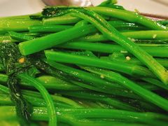 蒜蓉菜心-金煌大酒楼