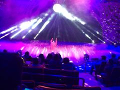 -珠海横琴长隆《卡卡虎奇遇记》