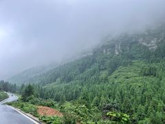 -重庆睡佛山森林公园